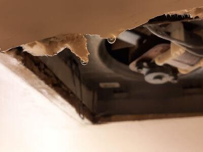 Professional basement flood restoration services services in Lancaster